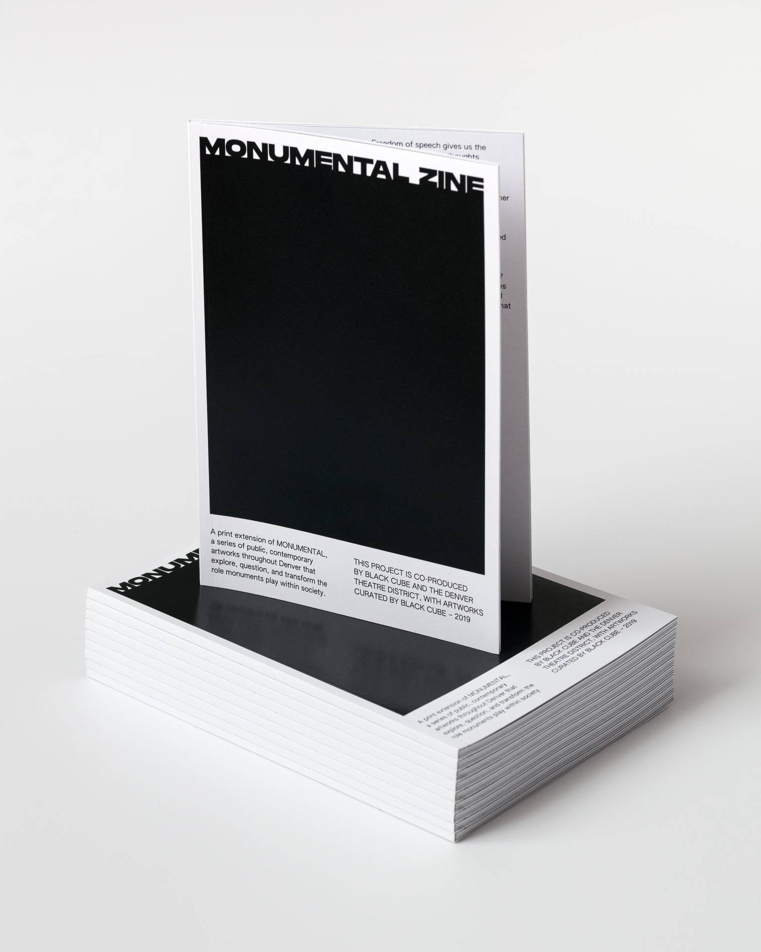 'MONUMENTAL' Zine