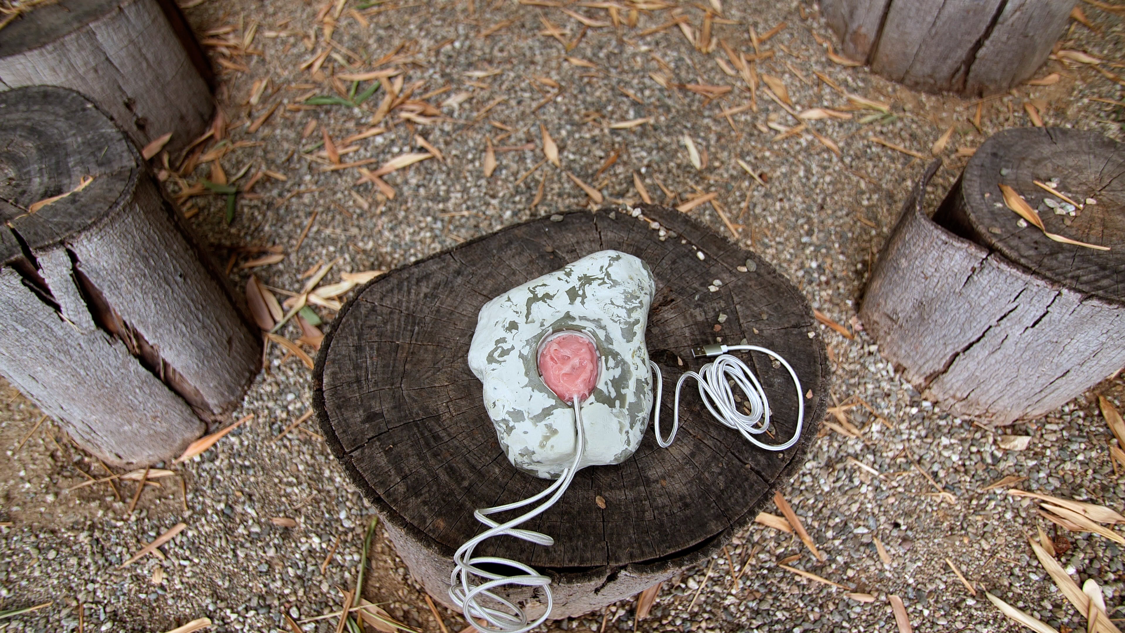 Nina Sarnelle - "Bruxer" Bone Conducting Device